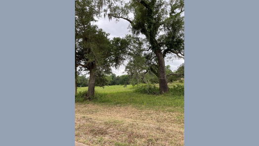 Angleton null-story, null-bed 526 Pony Trail Trail-idx