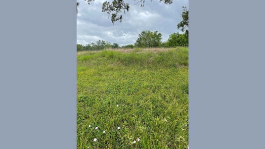 Angleton null-story, null-bed 526 Pony Trail Trail-idx