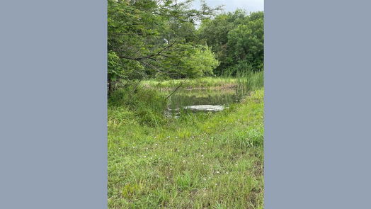 Angleton null-story, null-bed 526 Pony Trail Trail-idx
