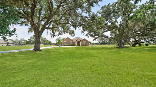 Angleton null-story, 4-bed 1132 Quarter Horse Trail-idx