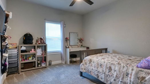 Angleton 1-story, 4-bed 520 Angus Trail-idx