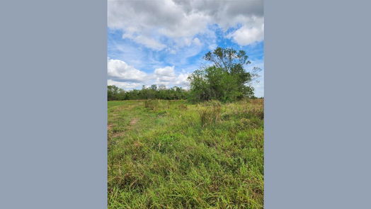 Angleton null-story, null-bed 200 Cripple Creek Lane-idx