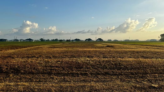 Angleton null-story, null-bed 578 Quarter Horse Trail-idx