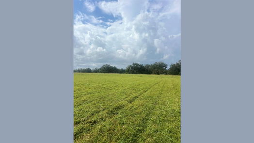 Angleton null-story, null-bed 1238 Frontier Trail-idx