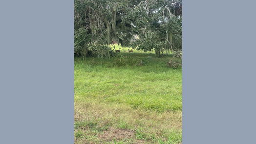 Angleton null-story, null-bed 1238 Frontier Trail-idx