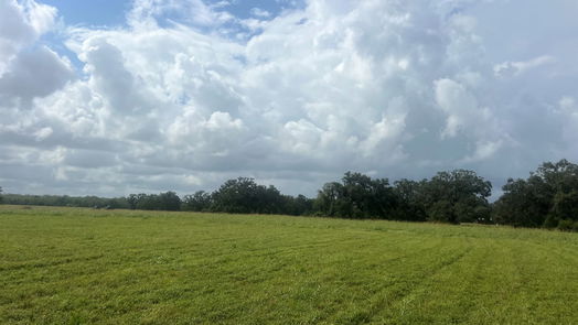 Angleton null-story, null-bed 1238 Frontier Trail-idx