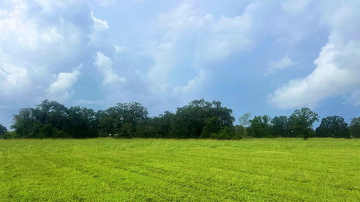 Angleton null-story, null-bed 1238 Frontier Trail-idx