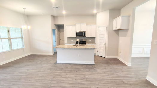 Angleton null-story, 4-bed 603 Greystone Lane-idx