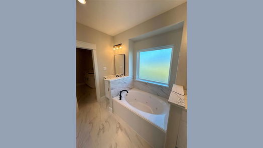 Angleton 1-story, 4-bed 608 Angus Trail-idx
