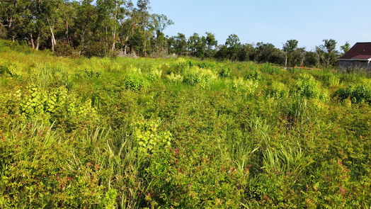 Richwood null-story, null-bed 32011 Bayou Bend-idx