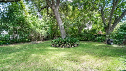Baytown 1-story, 3-bed 800 N Jones Street-idx