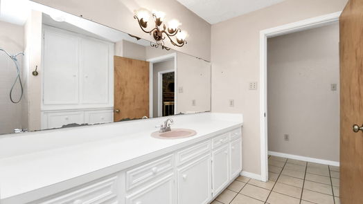 Baytown 1-story, 4-bed 406 Red Bud Lane-idx