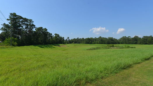 Baytown 2-story, 4-bed 8346 Hunters Lodge Lane-idx