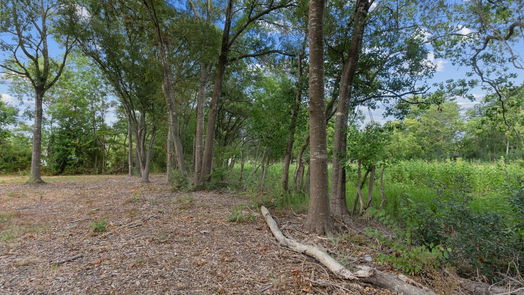 Baytown 1-story, 3-bed 1714 Massey Tompkins Road-idx