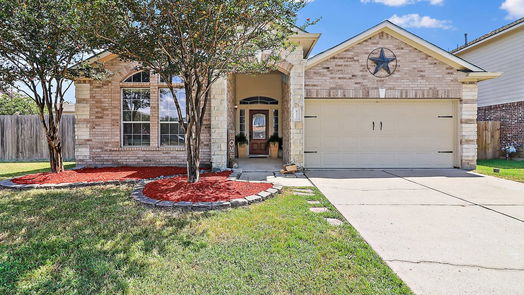 Baytown 1-story, 4-bed 8318 White Willow Lane-idx