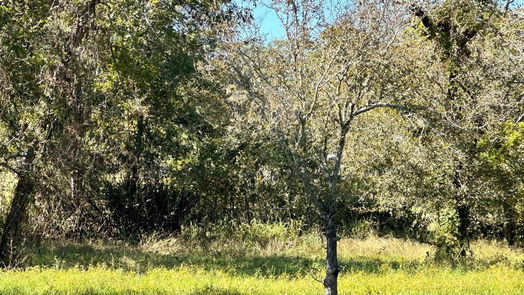 Baytown null-story, null-bed 4 Bayou Bend Drive-idx