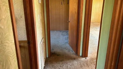 Clute null-story, 3-bed 1156 2nd Street-idx