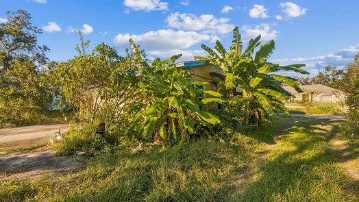 Clute null-story, 3-bed 722 Saint Anne Street-idx