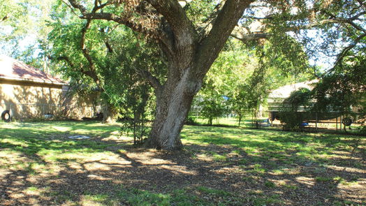 Clute null-story, 3-bed 300 Dorsett Street-idx