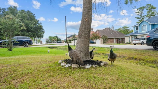 Crosby 2-story, 4-bed 18603 Canyon Cove Drive-idx