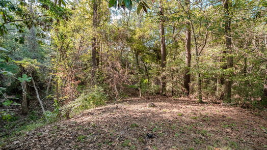 Crosby 1-story, 3-bed 935 Yacht Court-idx