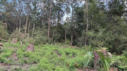 Crosby null-story, 4-bed 4919 Felscher Lane-idx