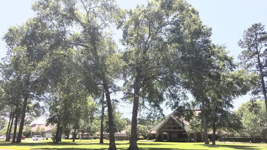 Crosby 1-story, 3-bed 16503 Grommet Court-idx