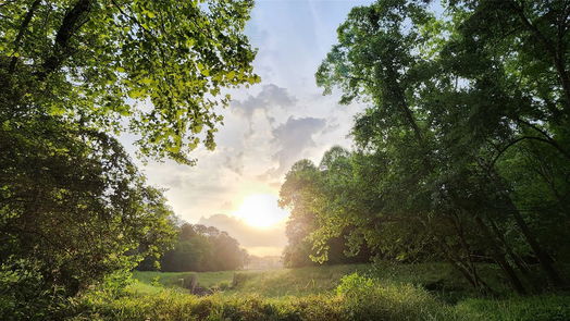 Crosby 1-story, 3-bed 16503 Grommet Court-idx