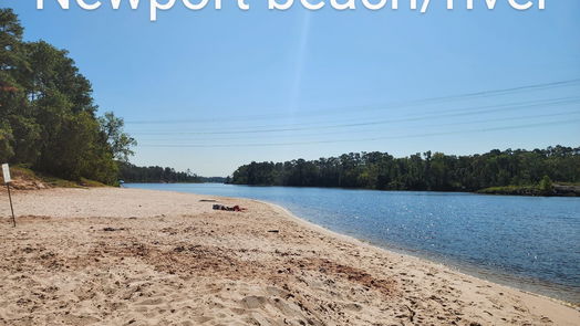 Crosby 1-story, 3-bed 16503 Grommet Court-idx