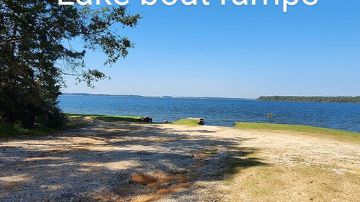 Crosby 1-story, 3-bed 16503 Grommet Court-idx