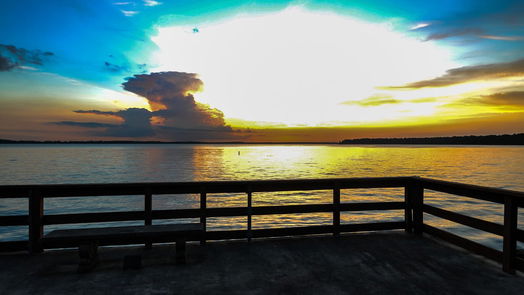 Crosby 1-story, 3-bed 627 Nautilus Street-idx