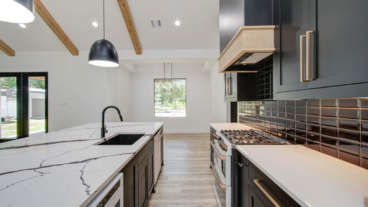Houston 2-story, 4-bed 0 Spanish Cove Drive-idx