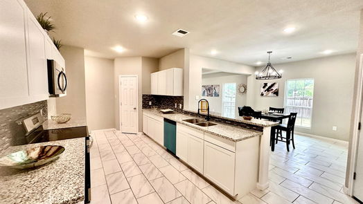 Houston 1-story, 3-bed 1519 Black Bear Drive-idx