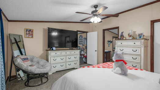 Daisetta 1-story, 3-bed 111 Yupon-idx