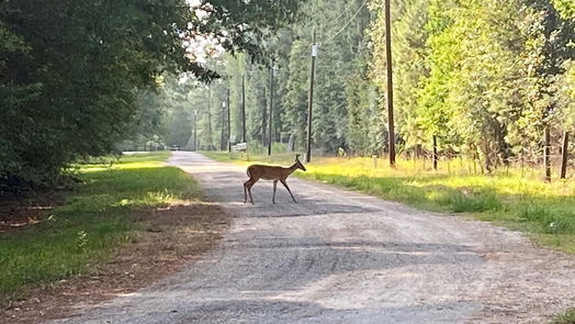 Dayton null-story, null-bed 000 County Road 6496-idx