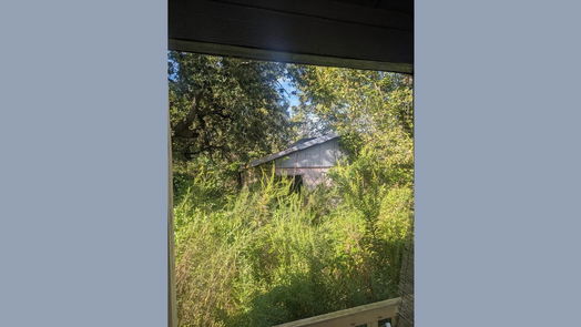 Dayton 1-story, 1-bed 359 County Road 460-idx