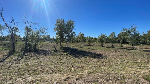 Dayton null-story, null-bed 2692 Fm 1413-idx