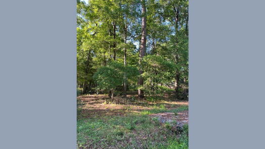 Dayton null-story, null-bed tbd COUNTY RD 441-idx