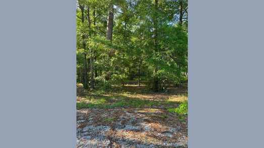 Dayton null-story, null-bed tbd COUNTY RD 441-idx