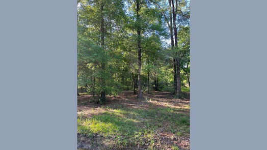 Dayton null-story, null-bed tbd COUNTY RD 441-idx
