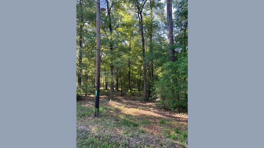 Dayton null-story, null-bed tbd COUNTY RD 441-idx