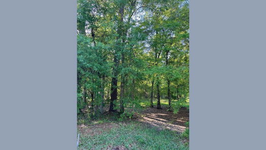 Dayton null-story, null-bed tbd COUNTY RD 441-idx