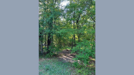 Dayton null-story, null-bed tbd COUNTY RD 441-idx
