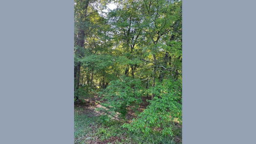 Dayton null-story, null-bed tbd COUNTY RD 441-idx