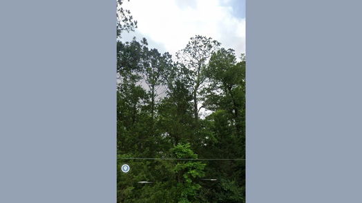 Dayton null-story, null-bed 396 County Road 427 Loop-idx