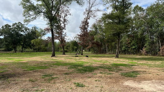 Dayton 1-story, 3-bed 121 County Road 4005-idx