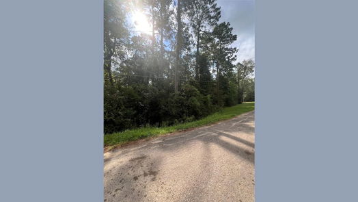 Dayton null-story, null-bed 396 County Road 427 Loop-idx