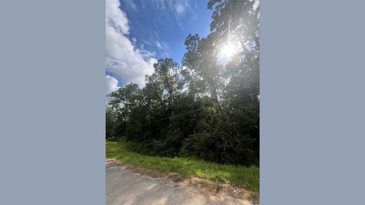 Dayton null-story, null-bed 396 County Road 427 Loop-idx