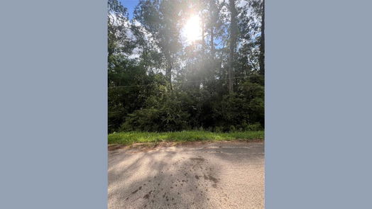 Dayton null-story, null-bed 396 County Road 427 Loop-idx