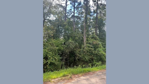 Dayton null-story, null-bed 396 County Road 427 Loop-idx
